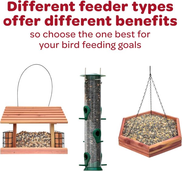 Kaytee Nut Fruit Seed Treat Bell Bird Feeder Supplies-3