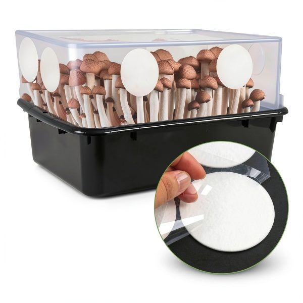 TNJPSEK Mushroom Filter Patches Monotub Airflow Adhesive-1
