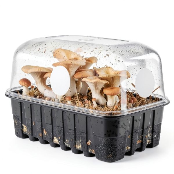 Xyembu Monotub Filter Disks High Efficiency Adhesive-2