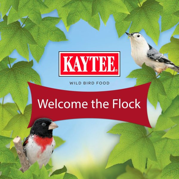 Kaytee Nut Fruit Seed Treat Bell Bird Feeder Supplies-12