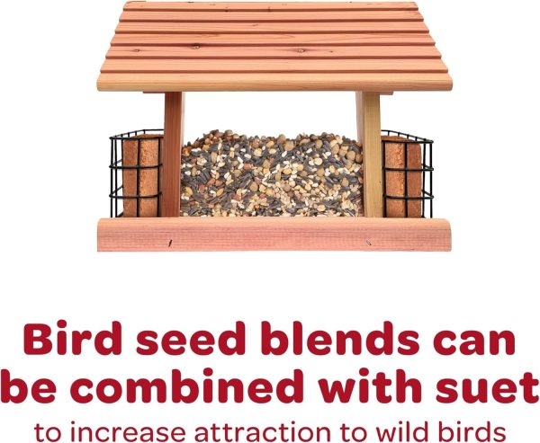 Kaytee Nut Fruit Seed Treat Bell Bird Feeder Supplies-9