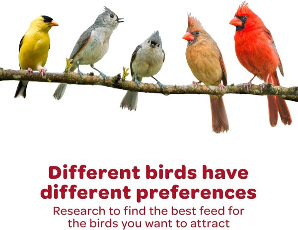 Kaytee Nut Fruit Seed Treat Bell Bird Feeder Supplies-7