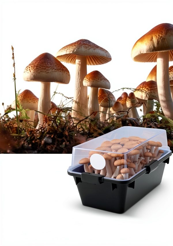 Lamxxyoo Monotub Filter Pads Mushroom Cultivation Supplies-3