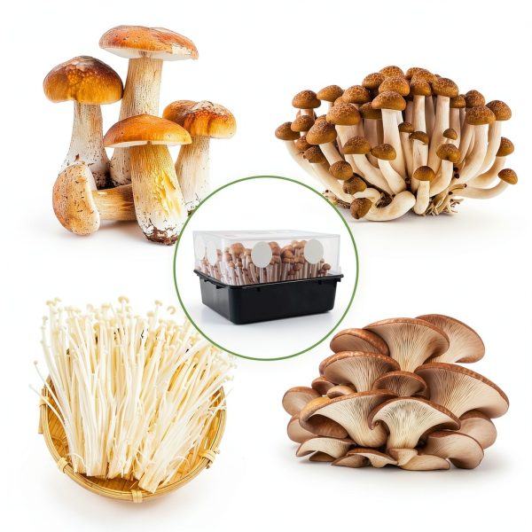 TNJPSEK Mushroom Filter Patches Monotub Airflow Adhesive-2