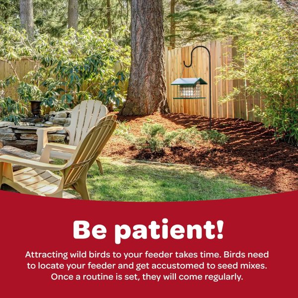 Kaytee Nut Fruit Seed Treat Bell Bird Feeder Supplies-10