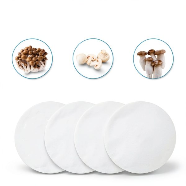 PEUTIER Filter Paper Stickers EPTFE Heat Resistant Mushroom-2