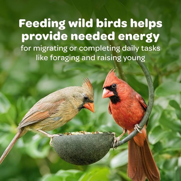 Kaytee Nut Fruit Seed Treat Bell Bird Feeder Supplies-4