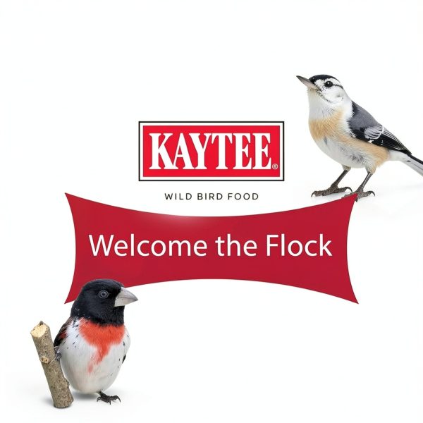 Kaytee Southern Regional Bird Seed Blend-15