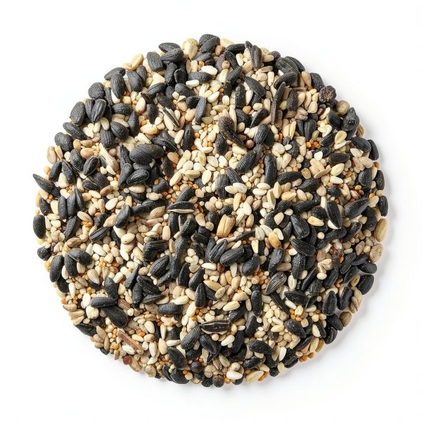 Kaytee Southern Regional Bird Seed Blend-4