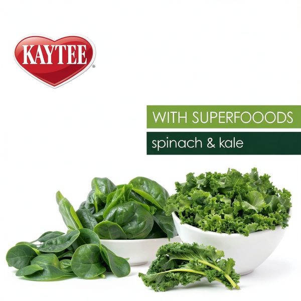 Bird Food Central Garden Premium Spinach Kale-2