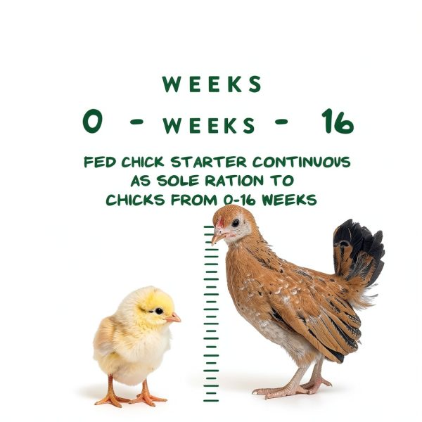 Manna Pro Medicated Chick Starter Grower Bird Feed-5