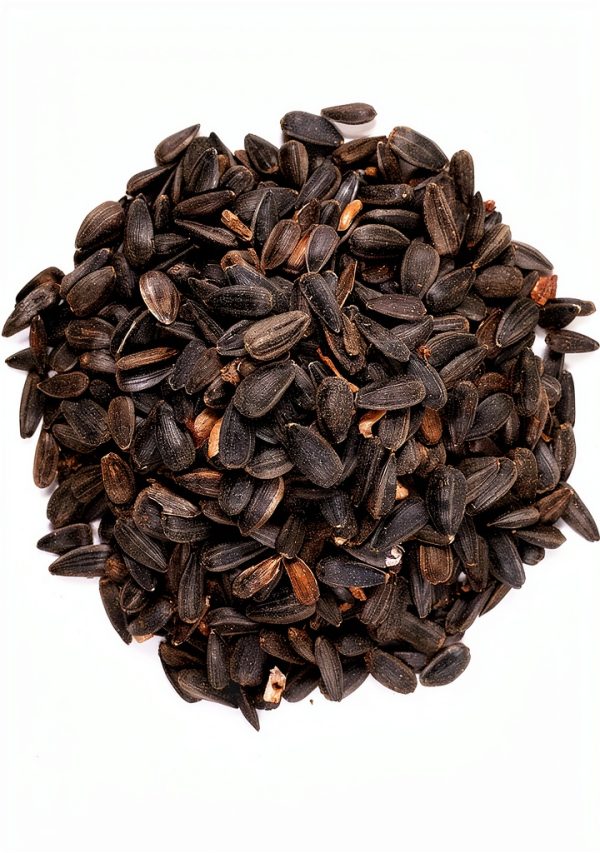 Wagner's Sunflower Bird Seed 52023 Thin Shelled High Energy Mix-2