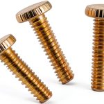 Westinghouse 7063200 Brass Plated Knurled Light Fixture Screws 3 Count-0