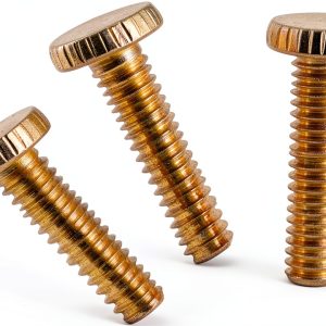 Westinghouse 7063200 Brass Plated Knurled Light Fixture Screws 3 Count-0