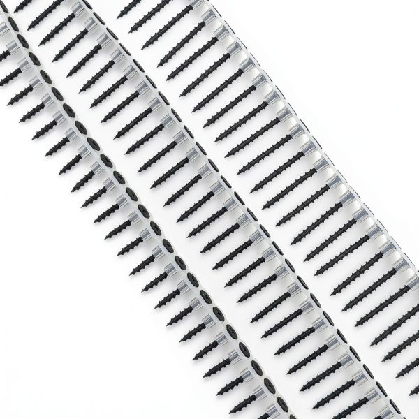 Plastic Chain Belt Drywall Screws 1000pcs #6 * 1-1/4 Drywall to Wood Collated Screw-5